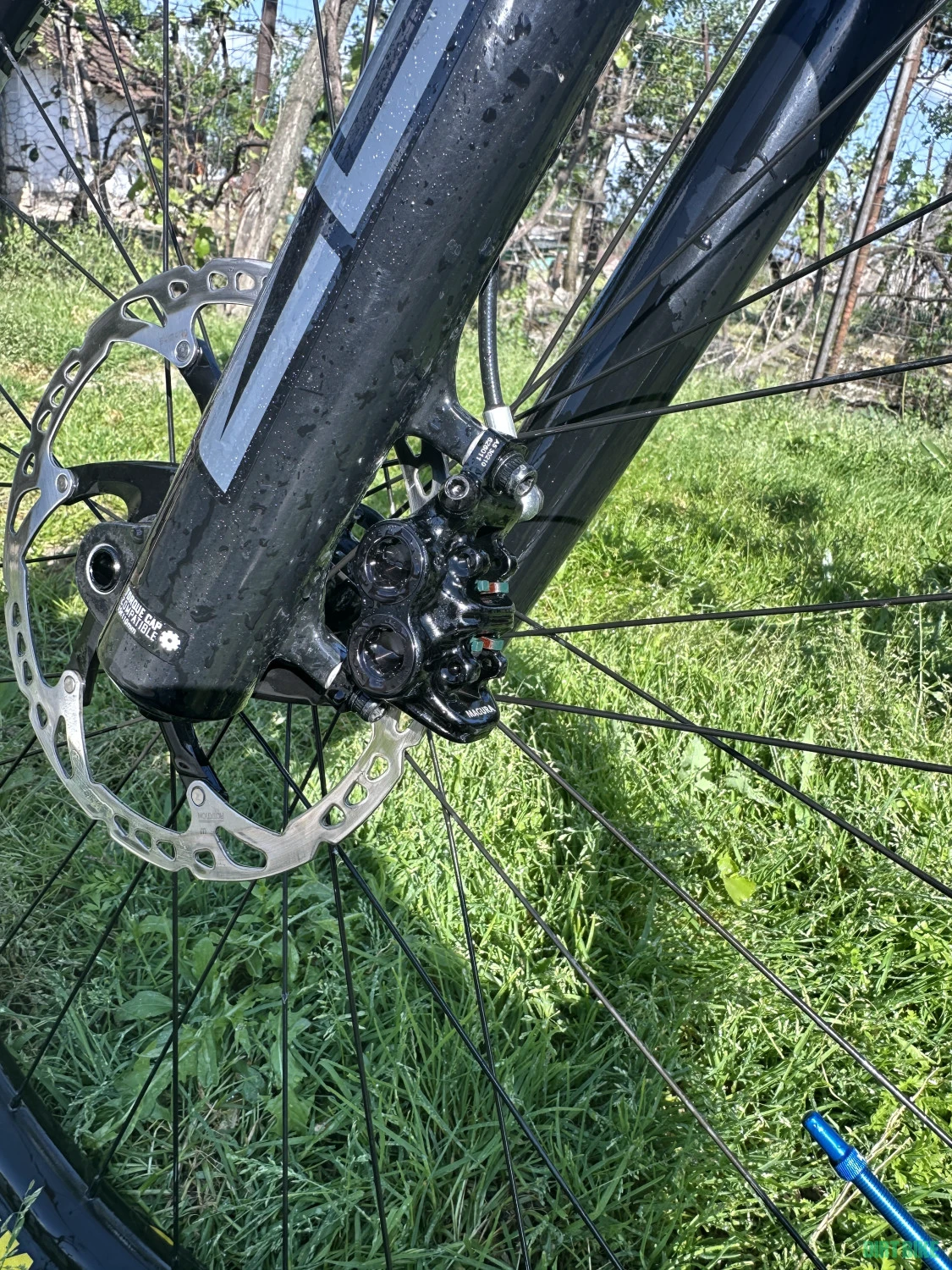 4. Vând urgent Vitus mythique 29vr