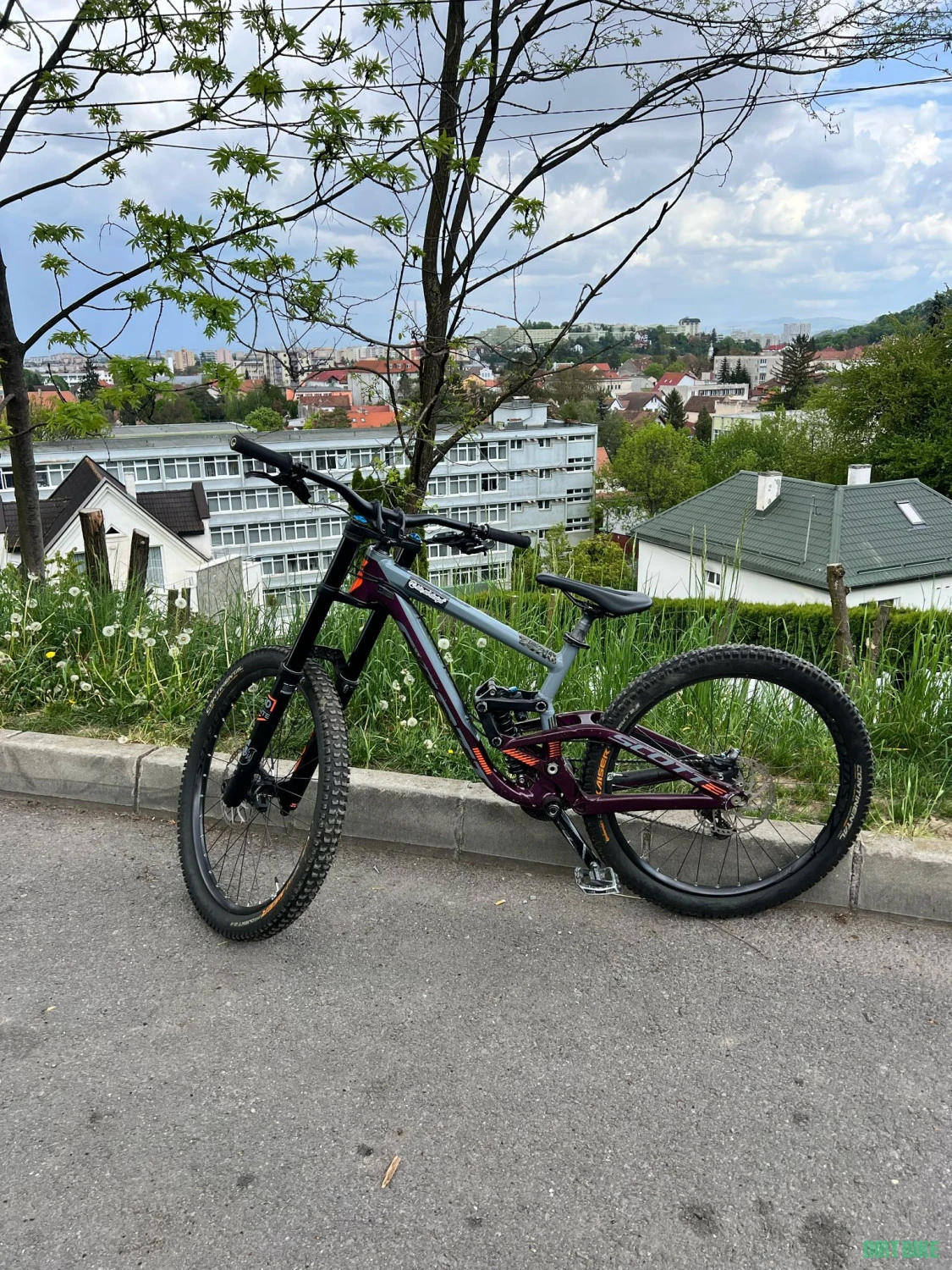 1. Scott Gambler 720 2018