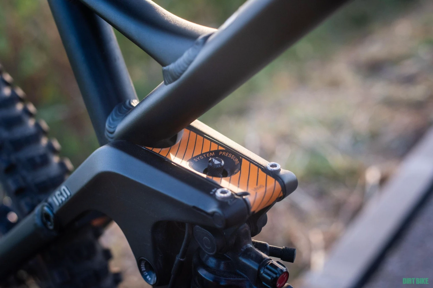 6. Canyon Strive AL Race
