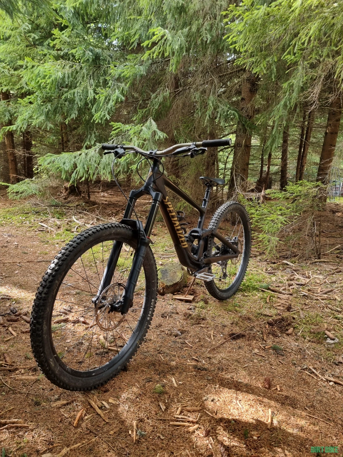 1. Specialized enduro S4