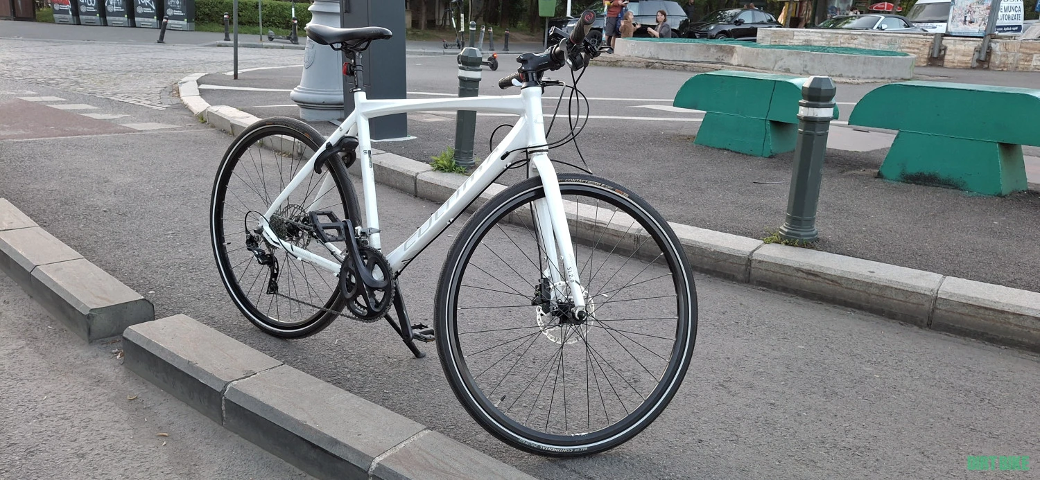 1. Bicicleta daneza Cultima