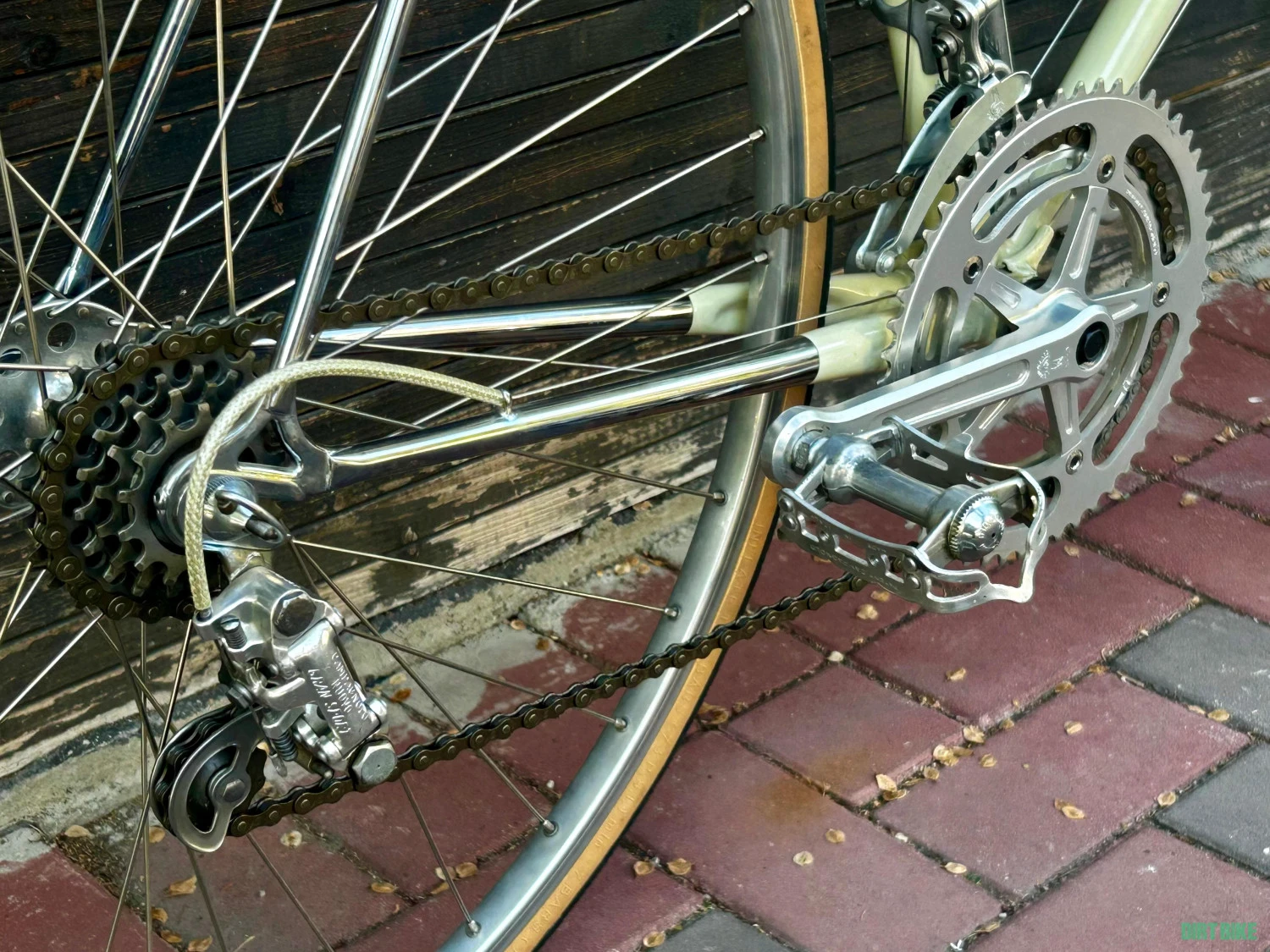 9. Cursiera vintage de oras/ Cafe Cruiser/ Cafe racer/ Campagnolo/ Brooks
