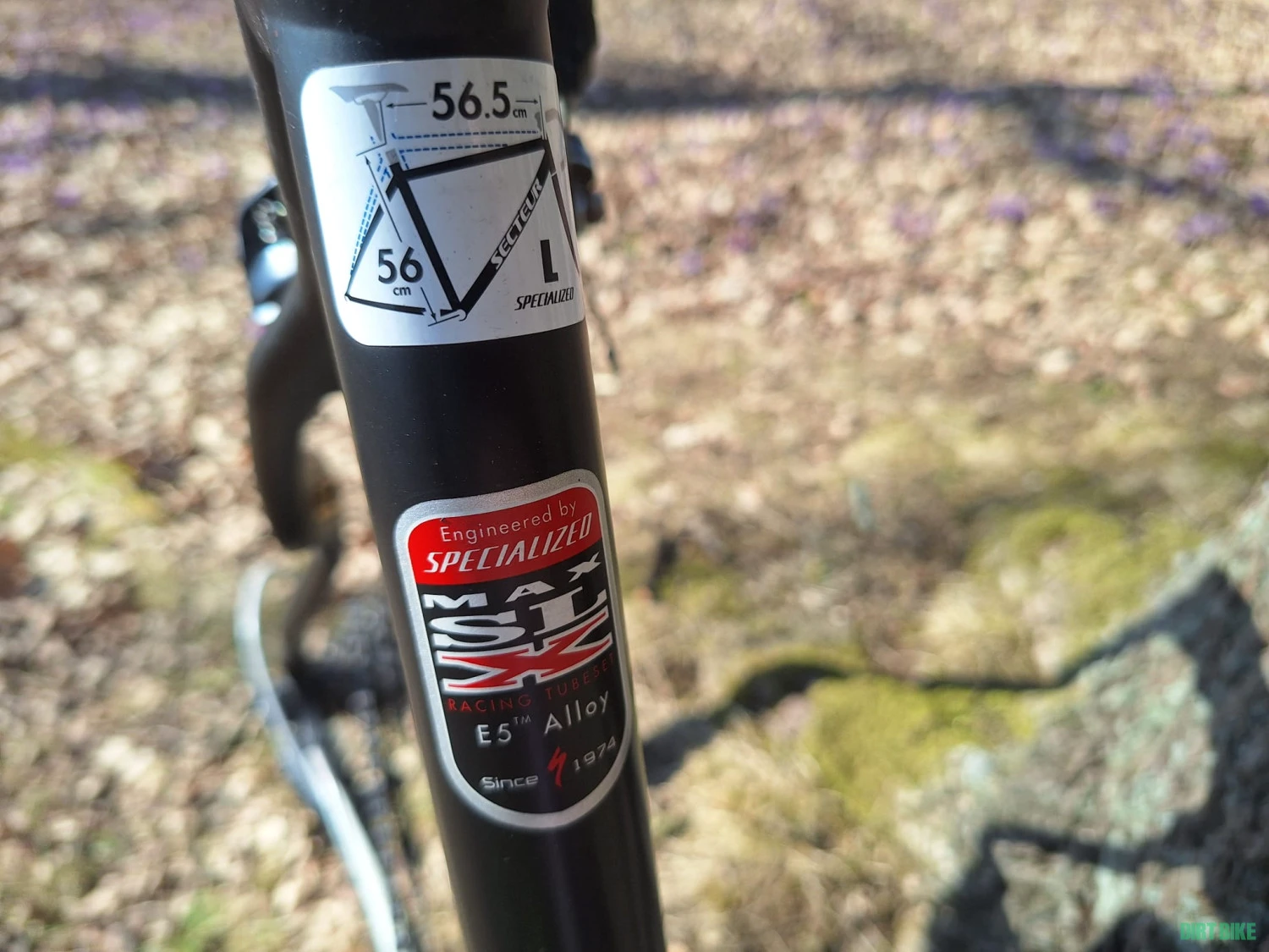 4. Cursiera SPECIALIZED, furca carbon, echipare Shimano 105, Marime 56(L)