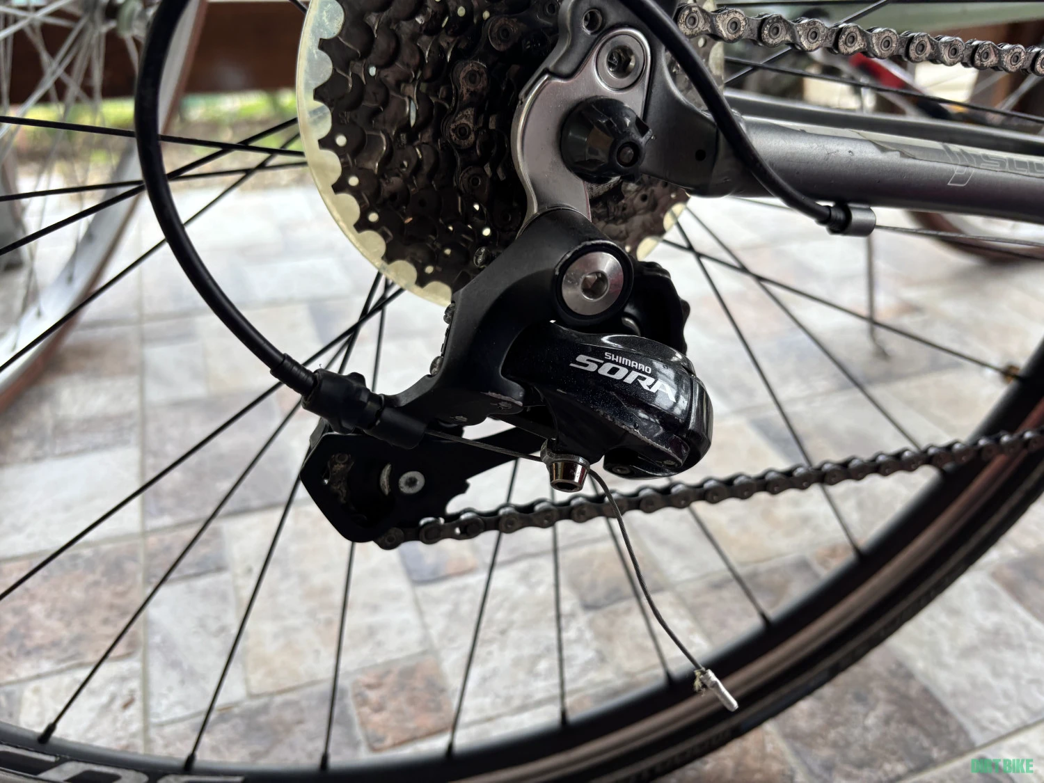 1. Cursiera Scott metrix