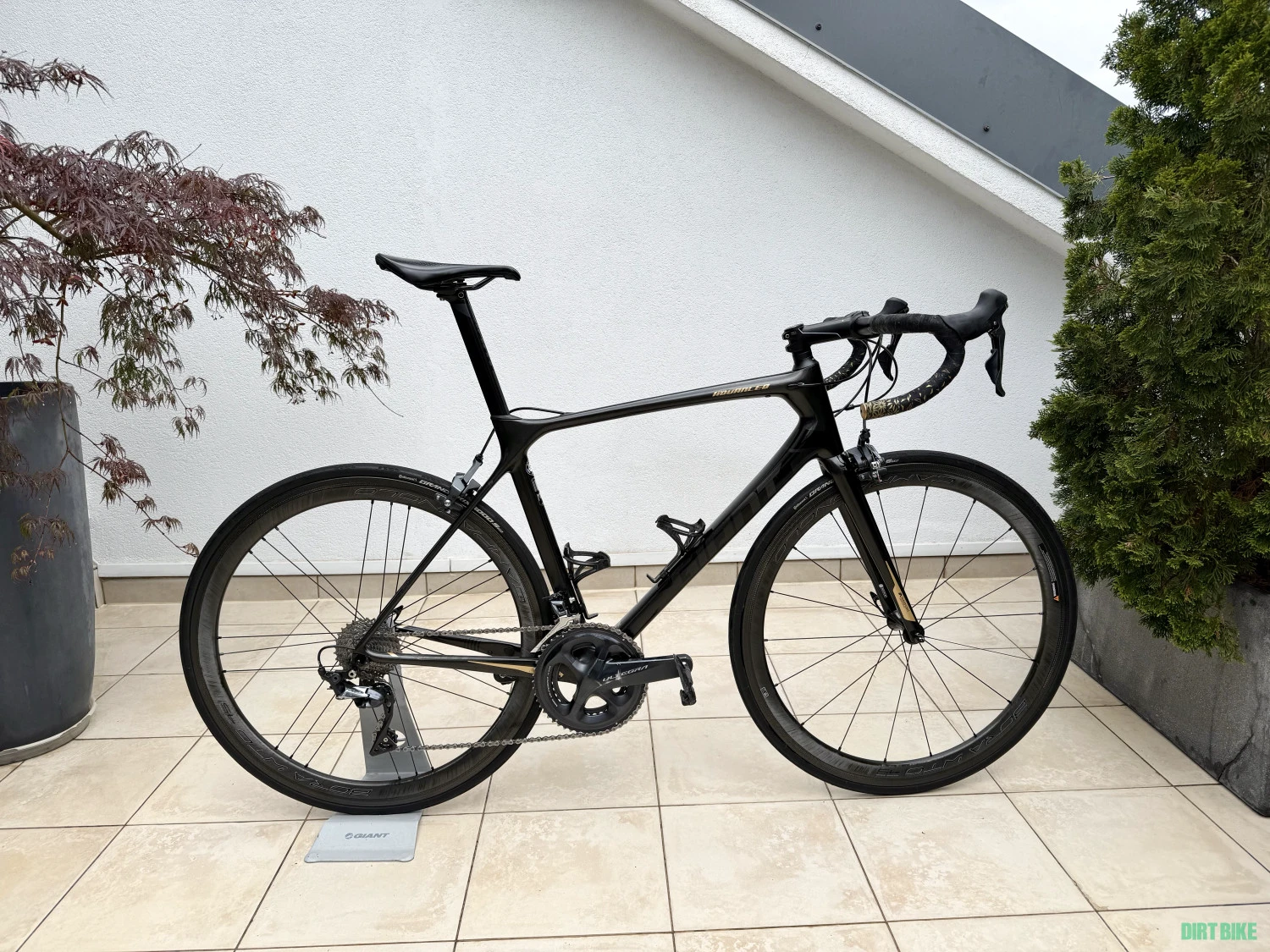 1. Giant TCR Advanced (M/L)