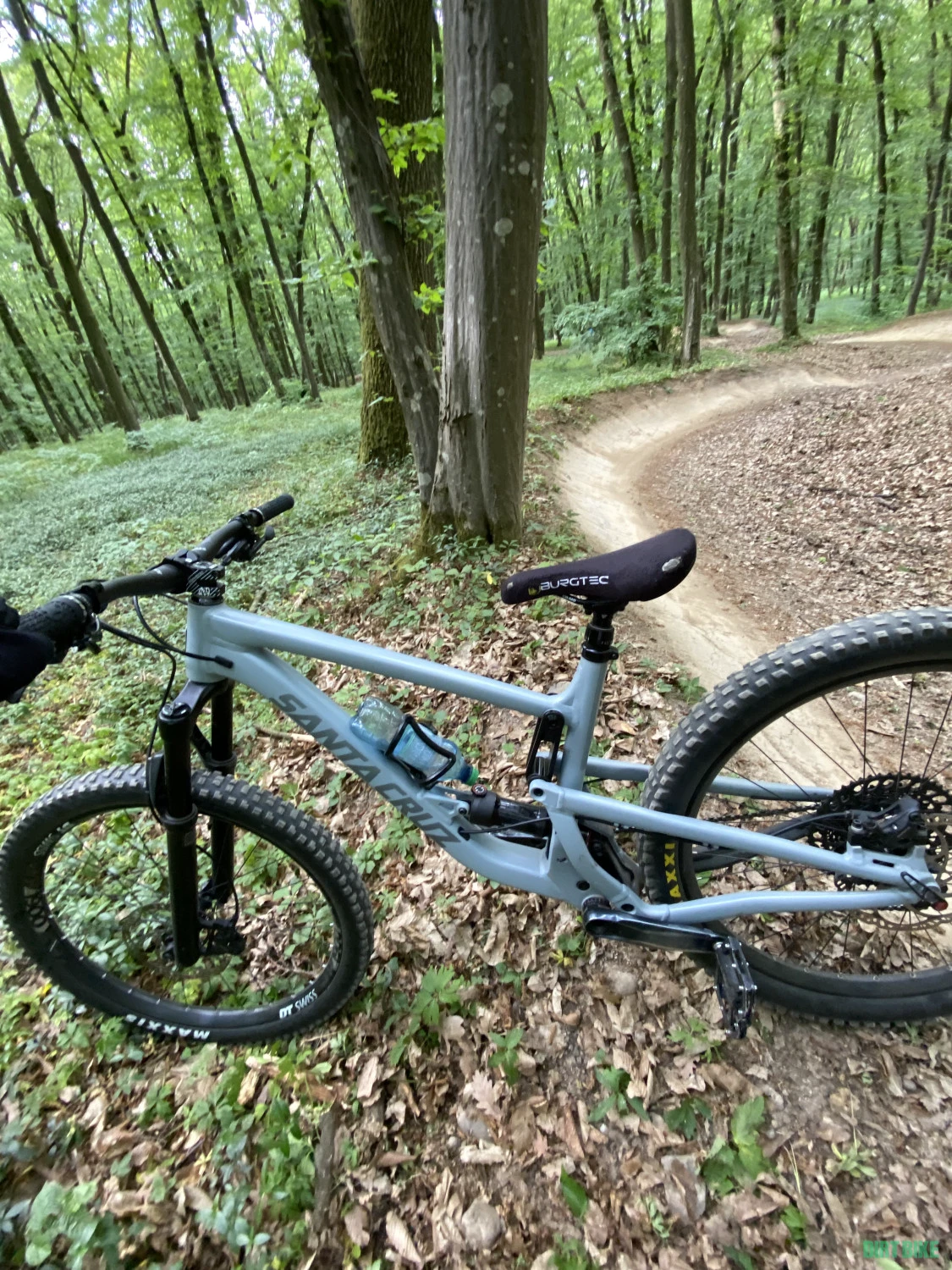 7. Santa Cruz bronson