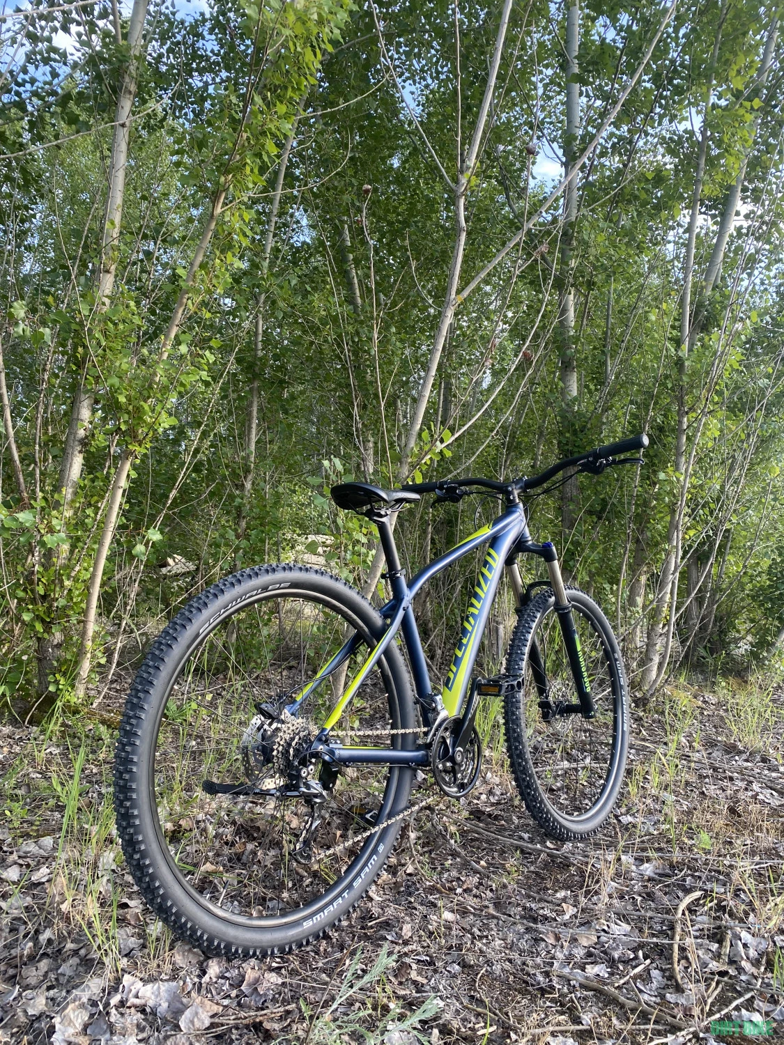 1. Specialized Rockhooper ROCKSHOX 29