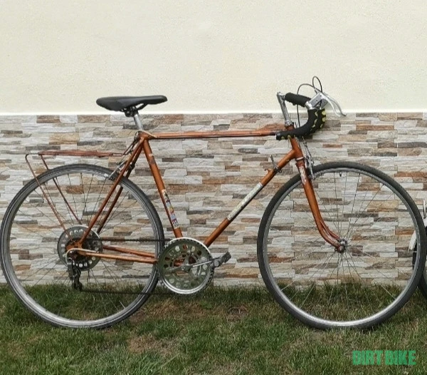 1. Cursiera Semicursiera Sputnik ruseasca