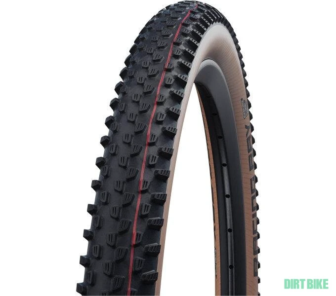 1. Racing Ralph si Racing Ray 2,35