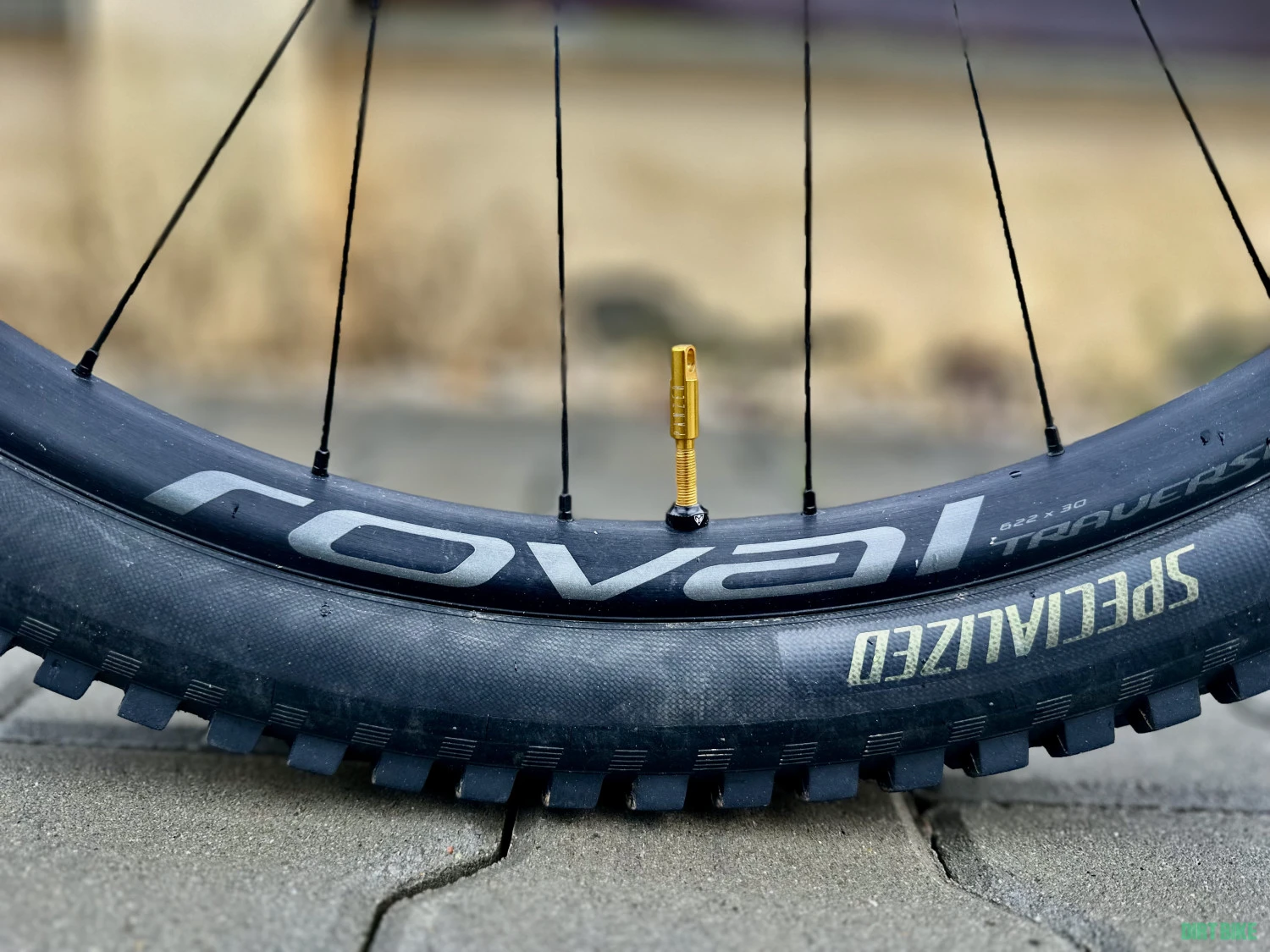 13. Specialized Stumpjumper Evo Ltd
