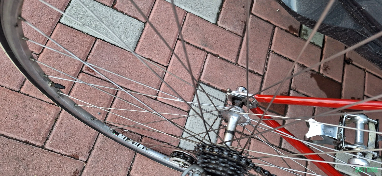 8. Colnago