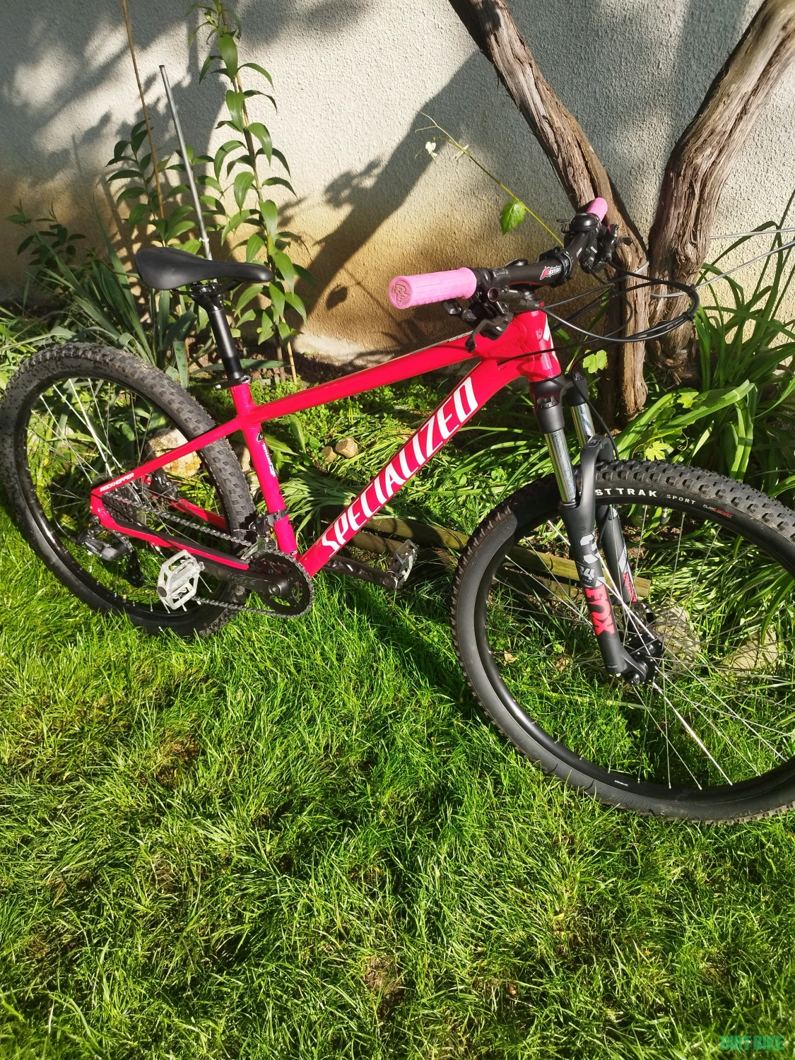 1. Specialized Rockhopper 2022