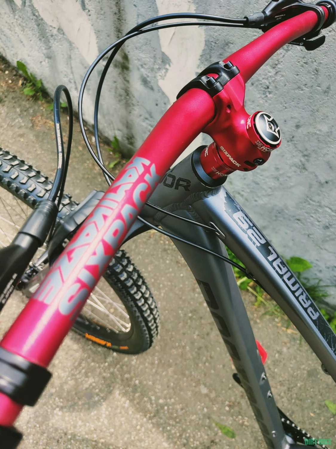 10. Dartmoor Primal 2022 *custom*