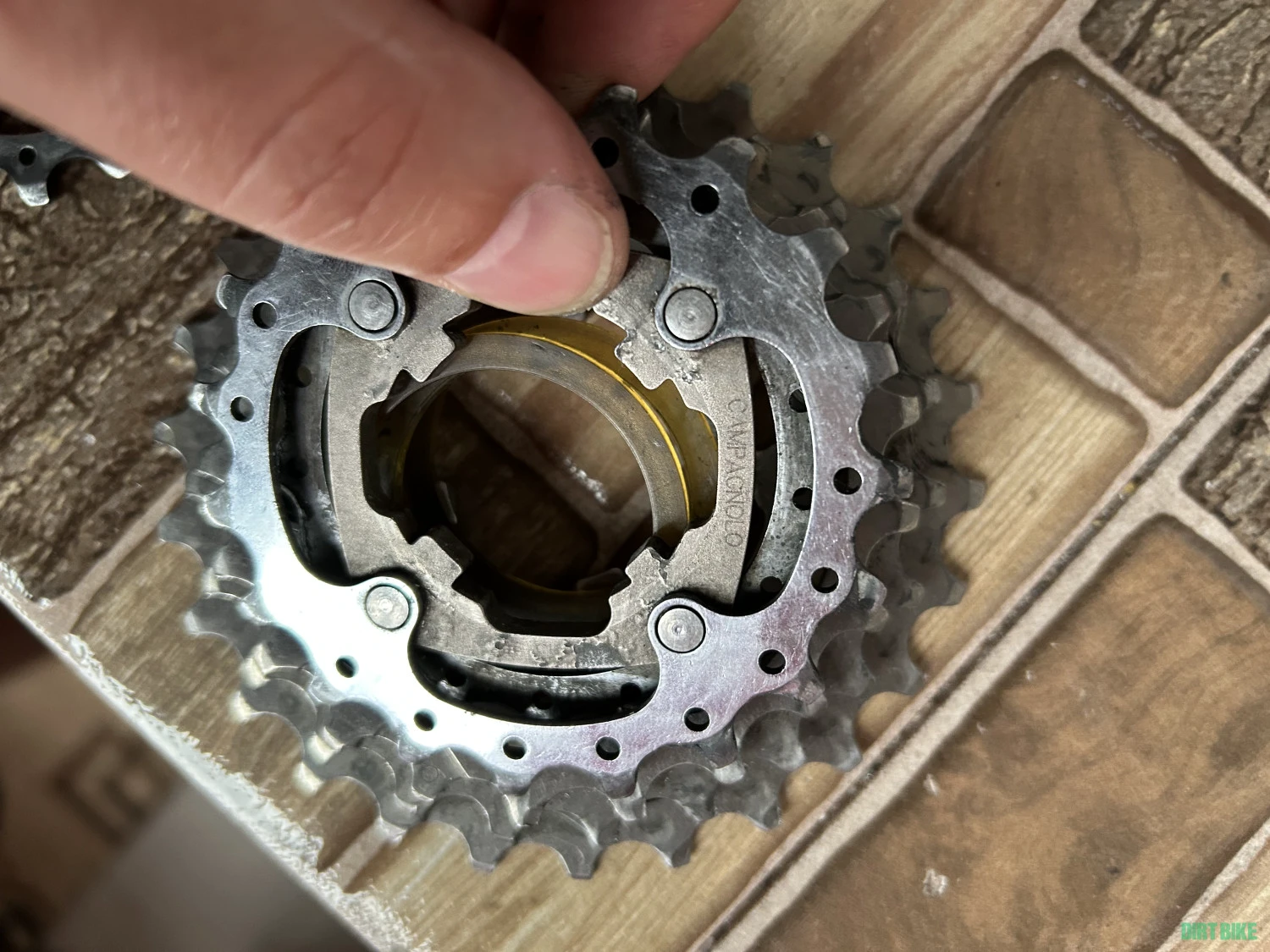 1. Vând Pinion Campagnolo