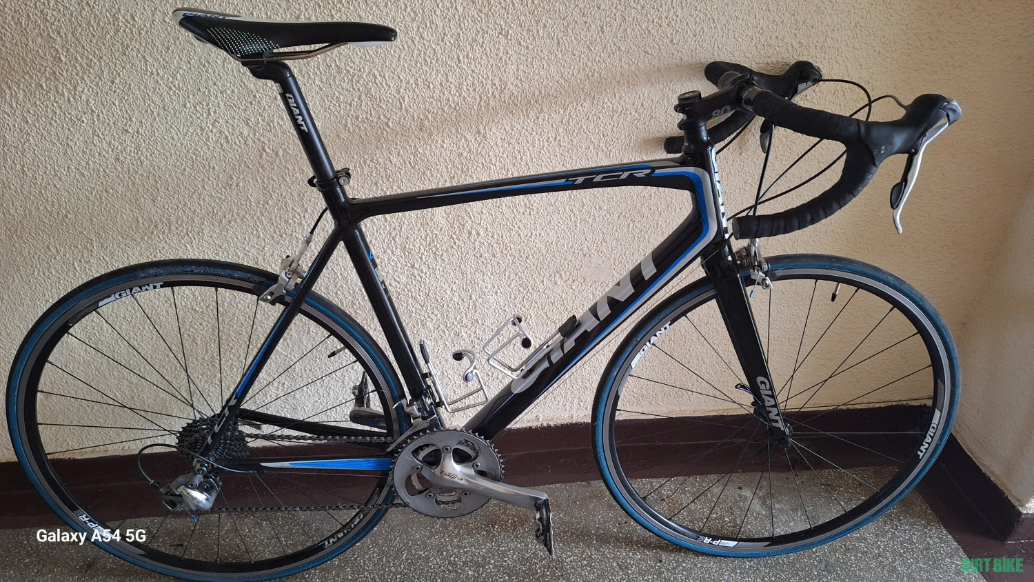 1. Giant tcr 2