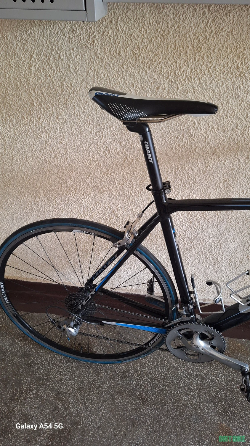 11. Giant tcr 2