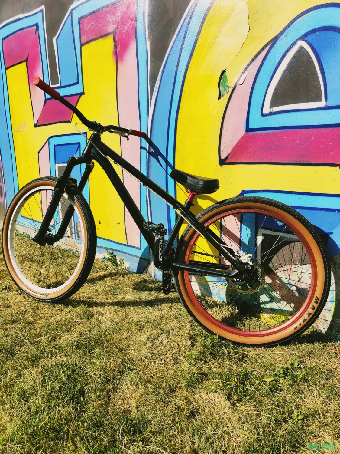 1. Canyon Stitched 360 * custom *