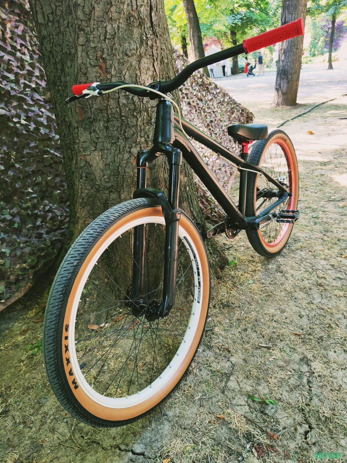 2. Canyon Stitched 360 * custom *