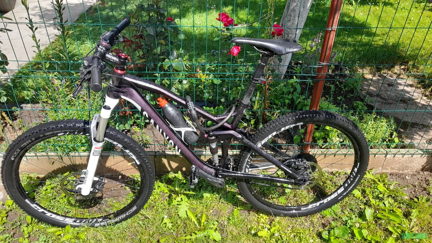 1. Canyon Nerve Al