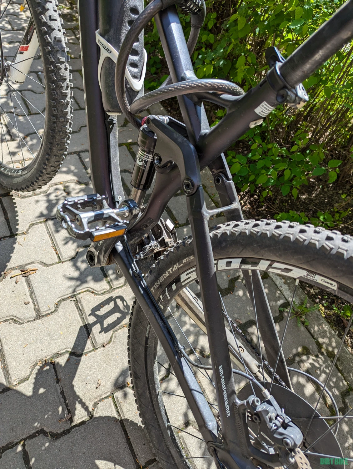 7. Canyon Nerve Al