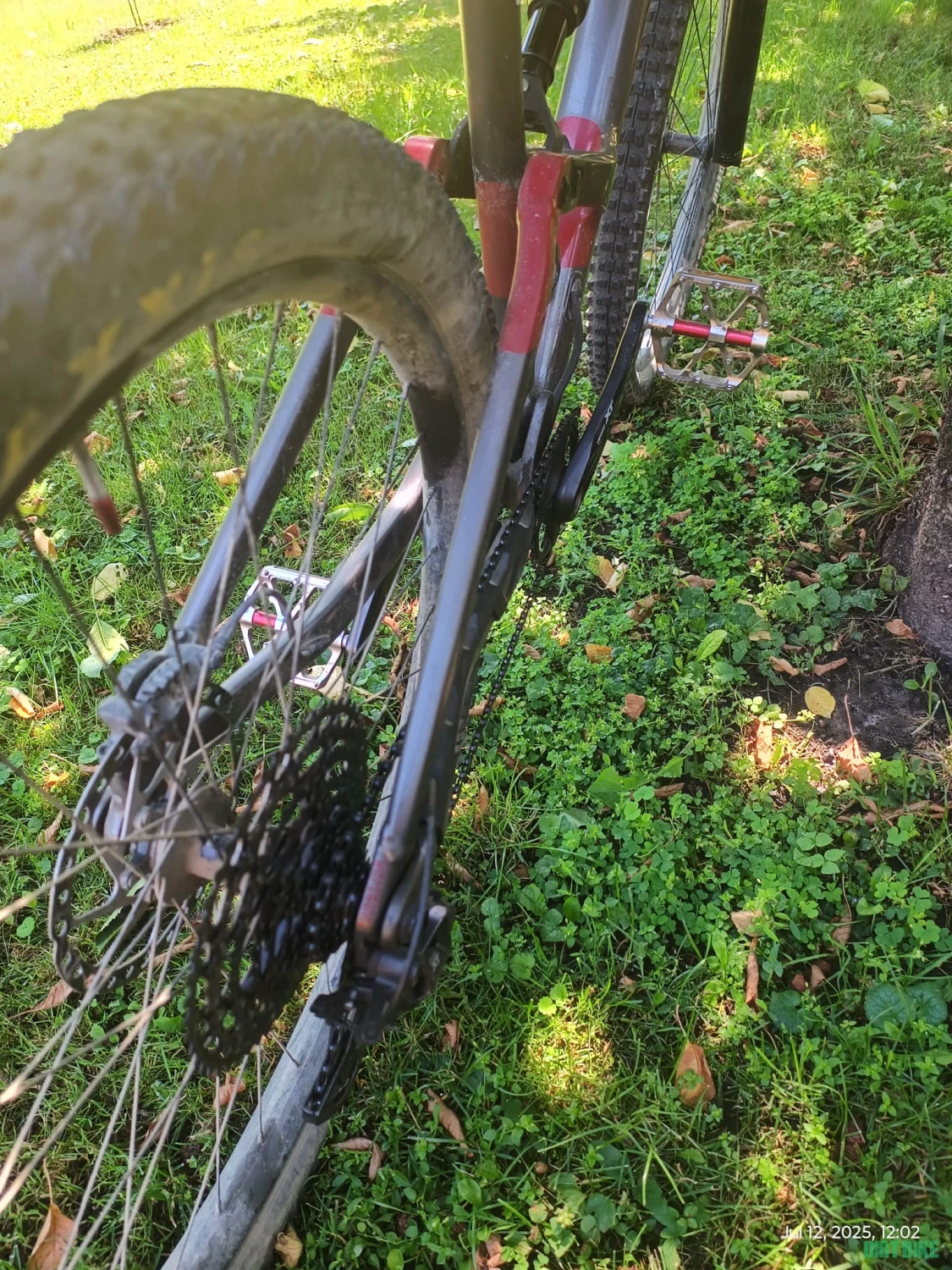 6. Orbea Occam H10