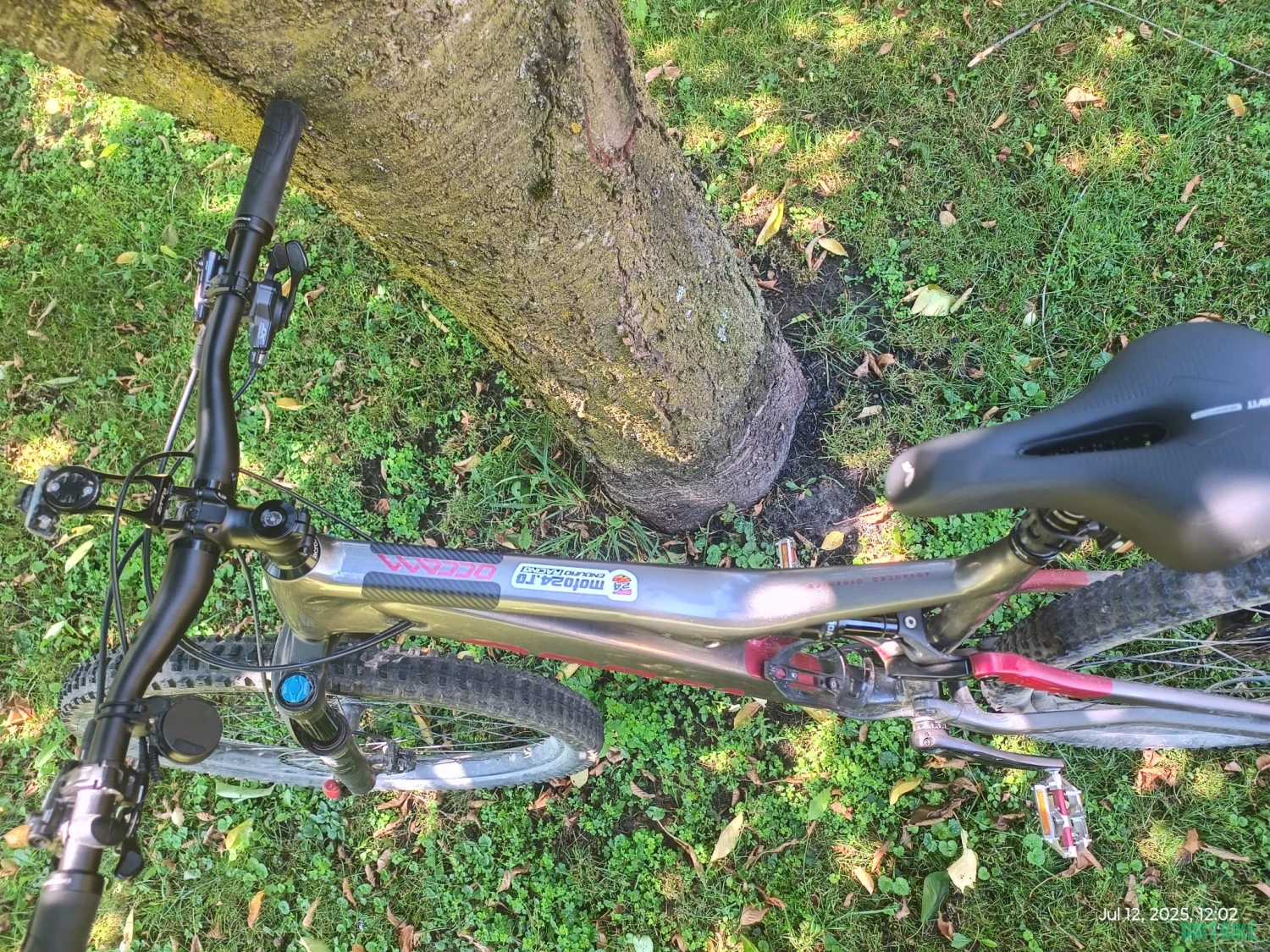 3. Orbea Occam H10