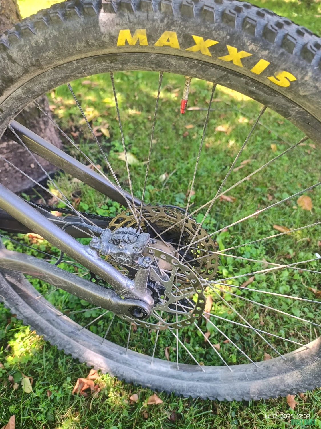 7. Orbea Occam H10