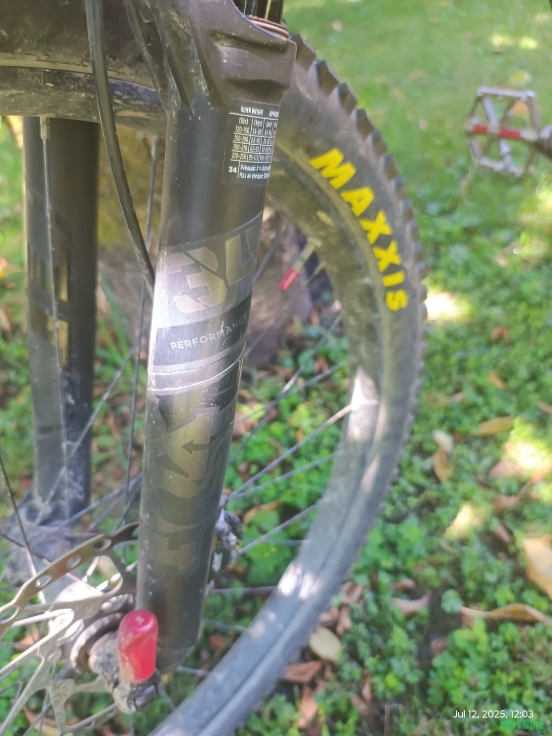 1. Orbea Occam H10
