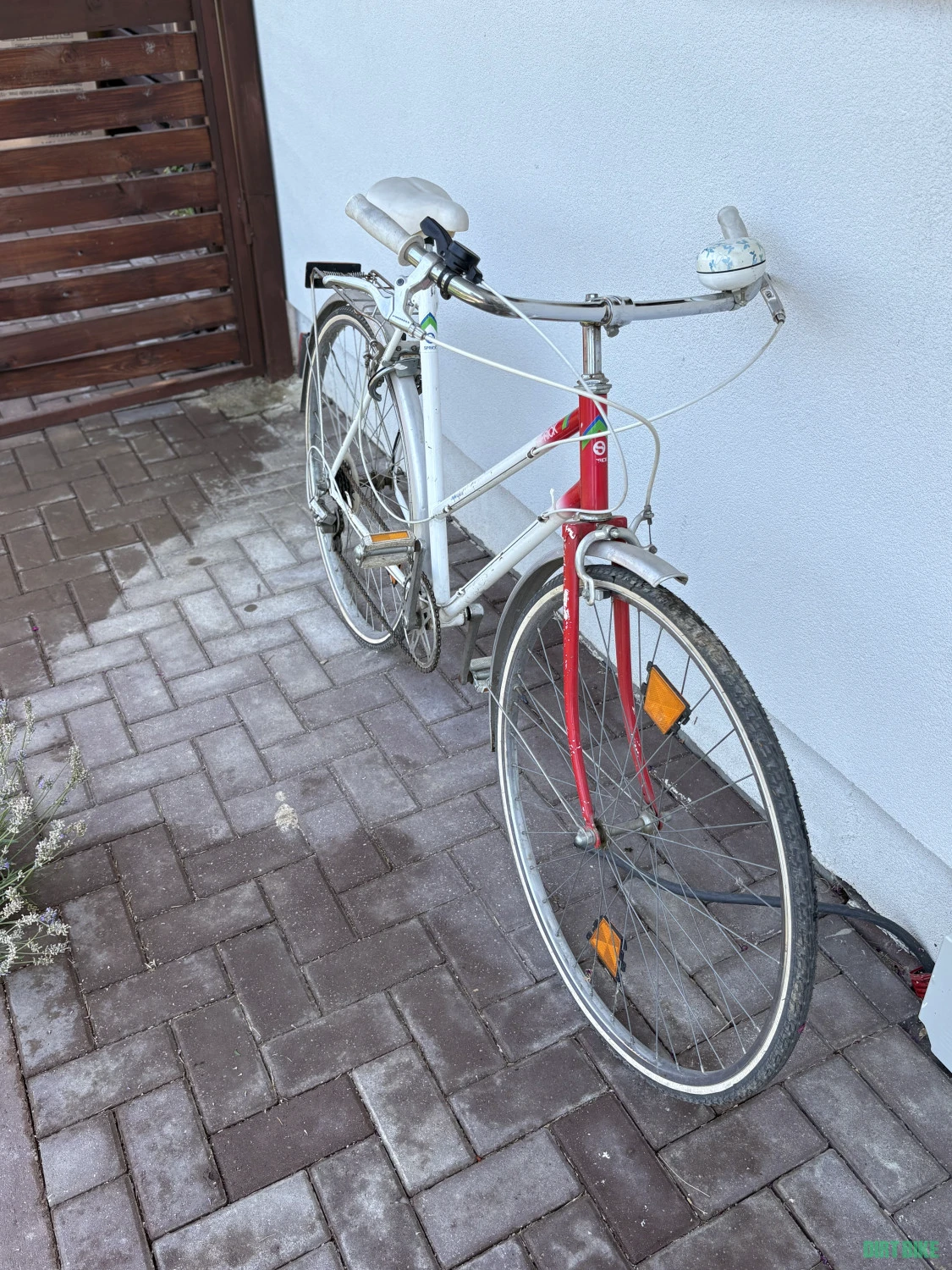 1. Bicicleta dama, vintage