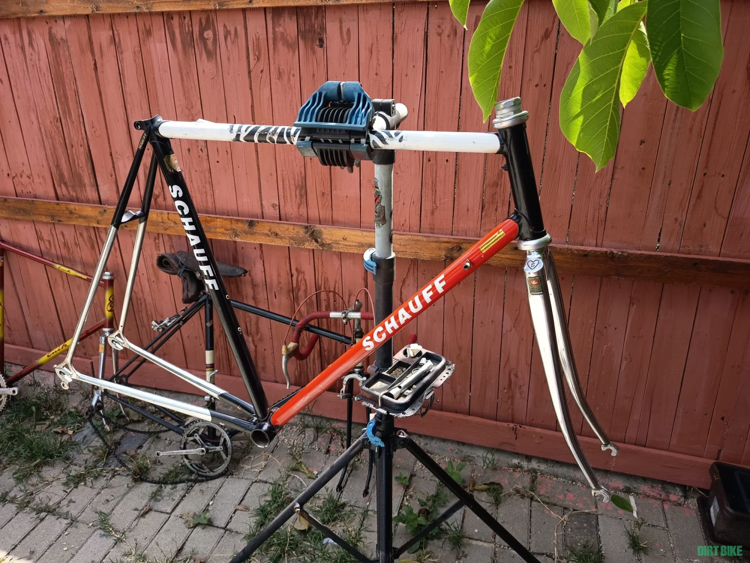 1. Vand cadru columbus SPX marime 56