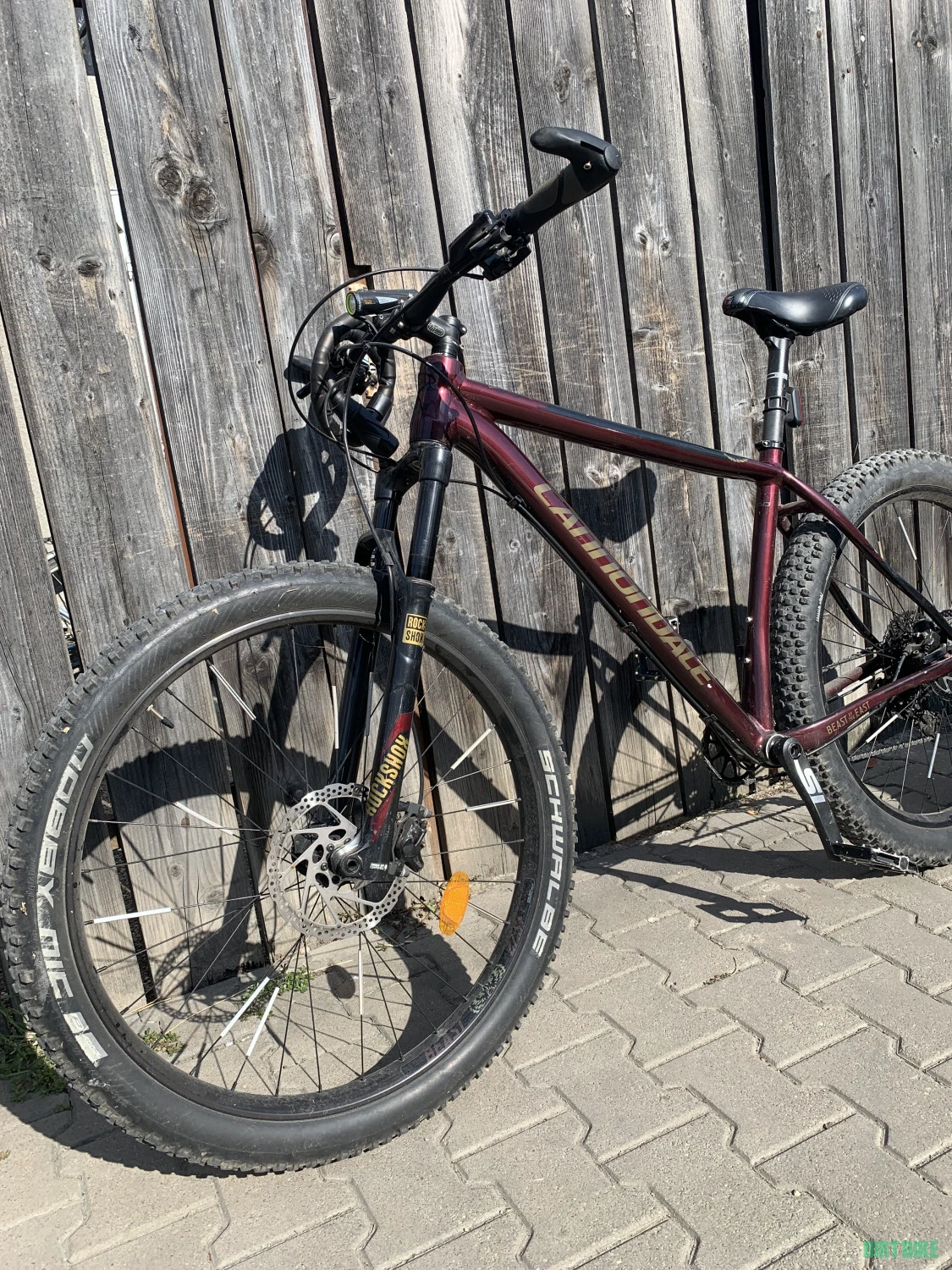 8. Cannondale Beast of the East