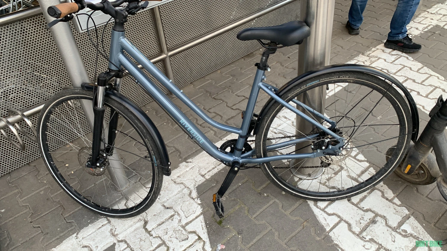 1. Elops dama 28 disc