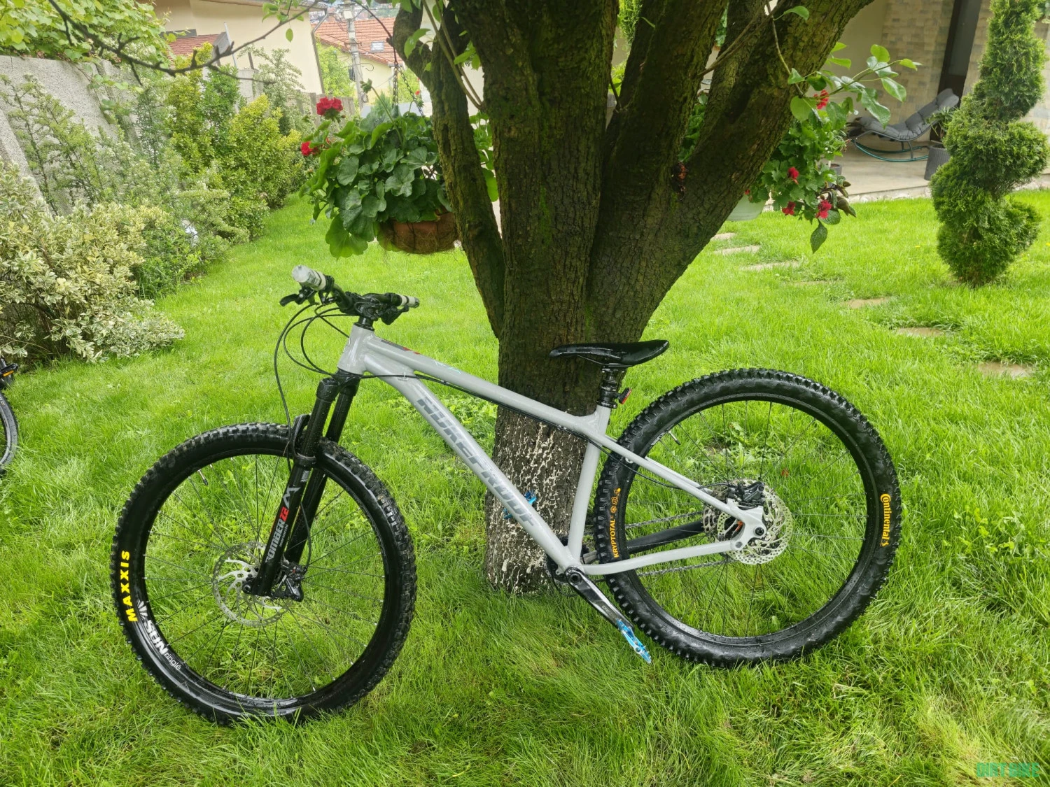 5. Nukeproof scout 290