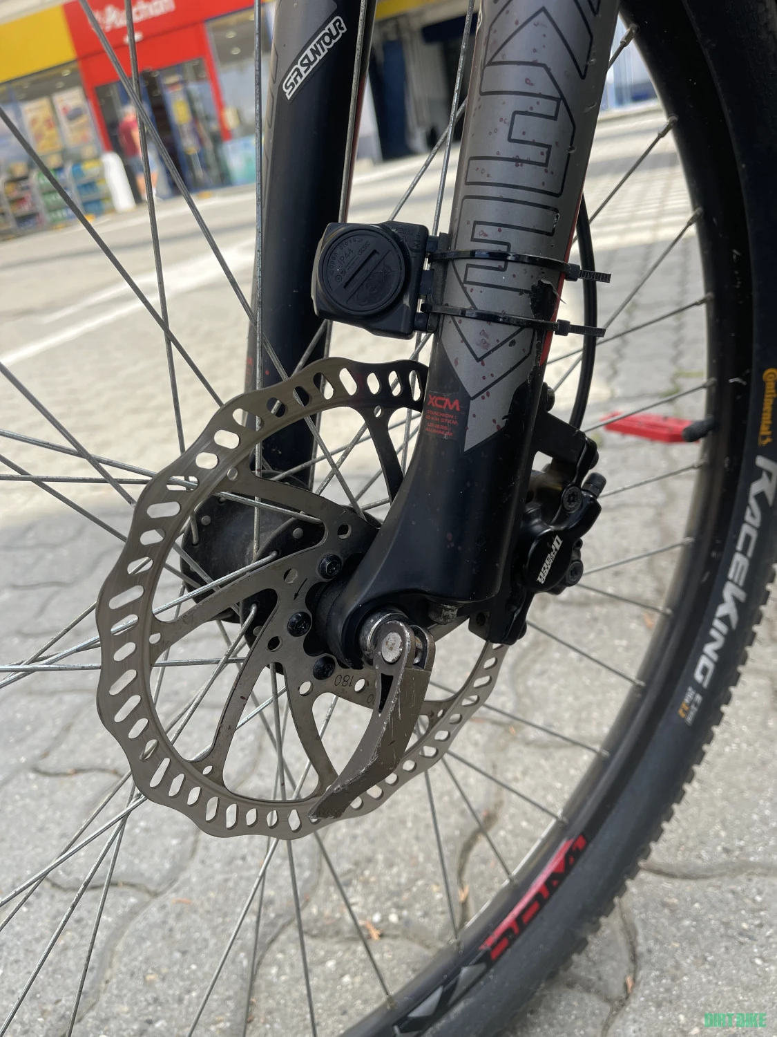 7. MTB BULLS Sharptail