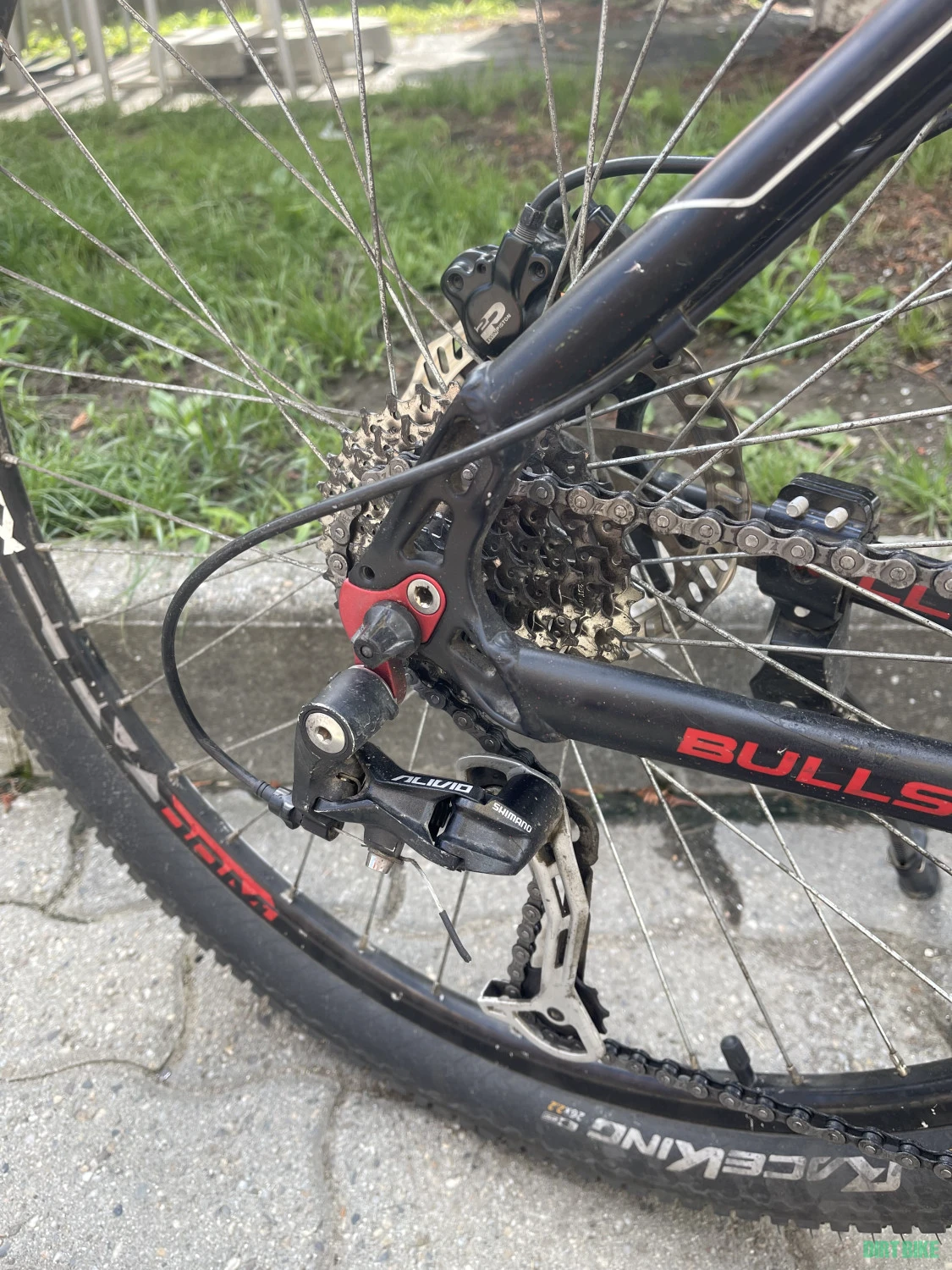 4. MTB BULLS Sharptail