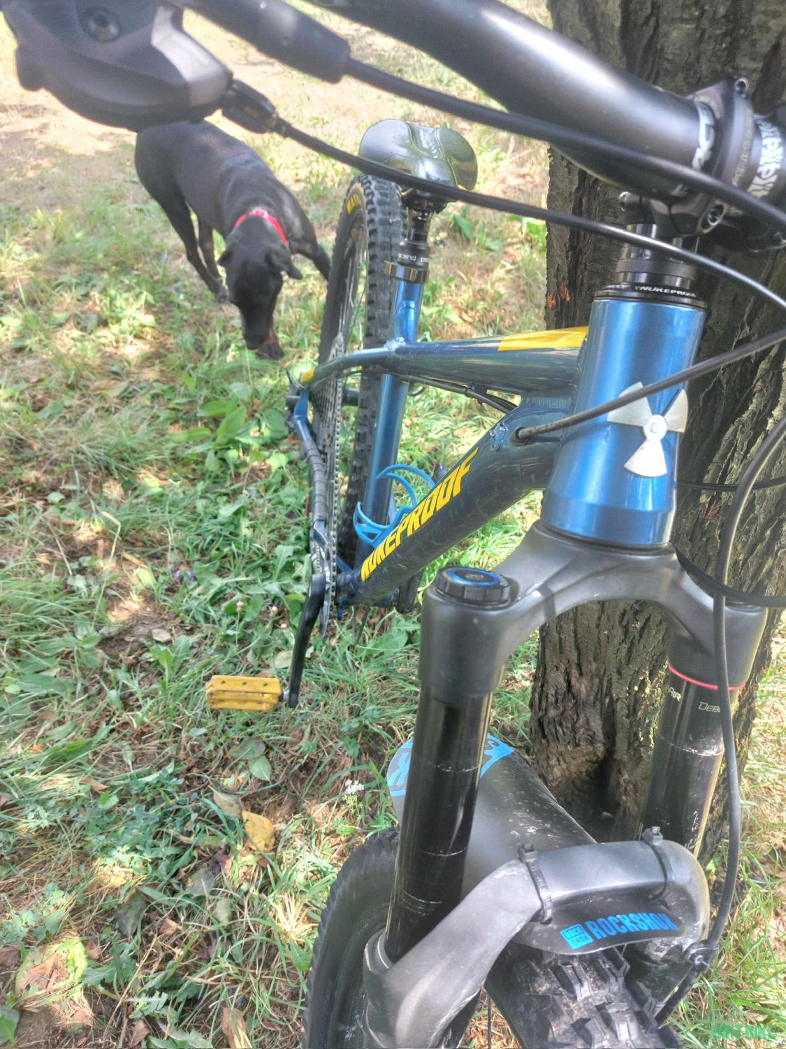 2. Vand Nukeproof Scout 275