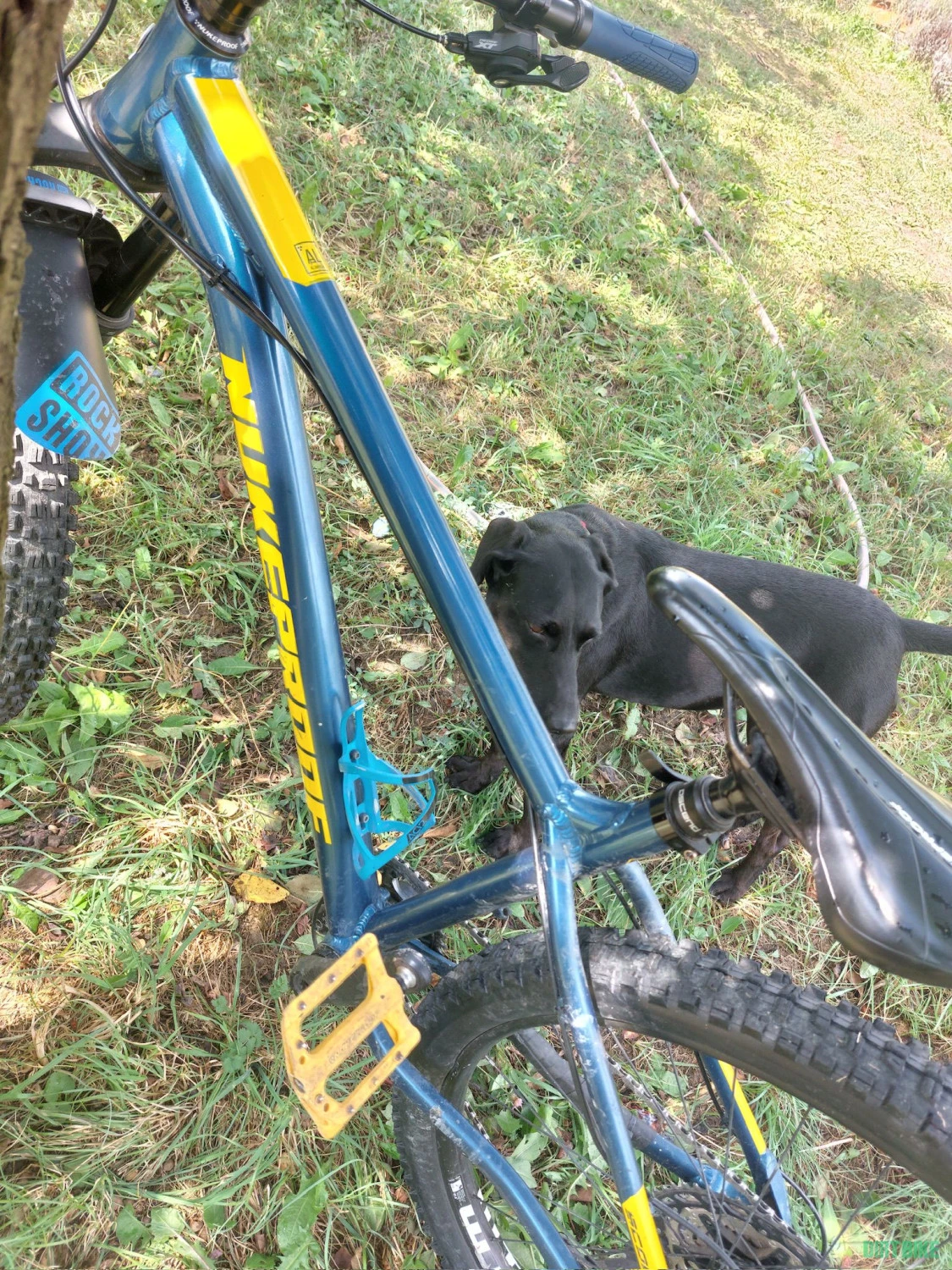 4. Vand Nukeproof Scout 275