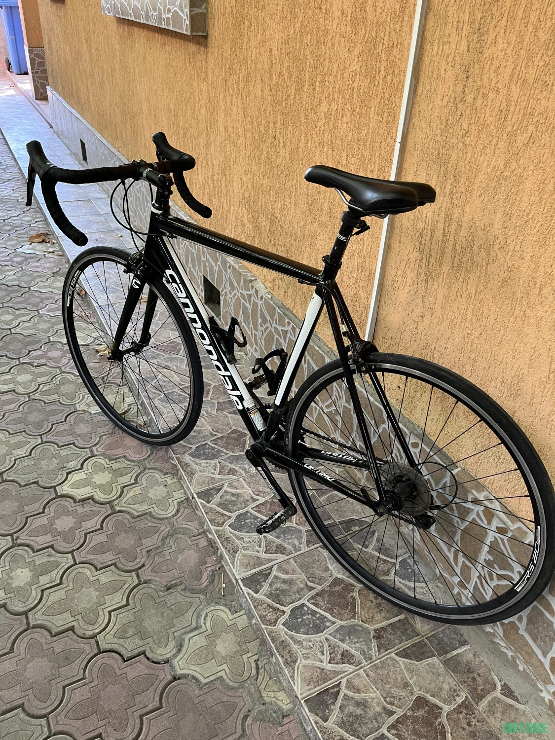 2. Cursieră cannondale
