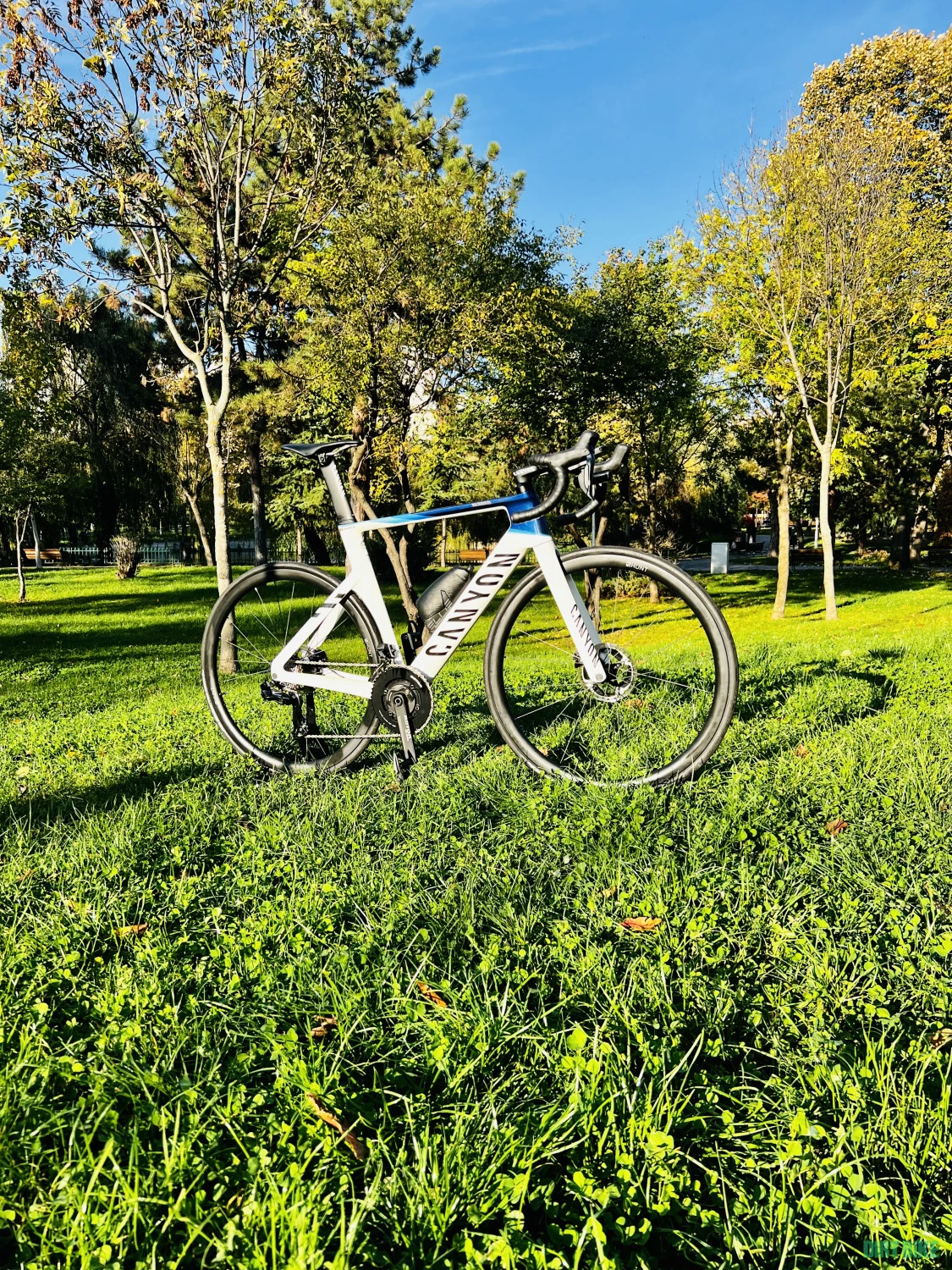 4. CANYON AEROAD CFR Di2