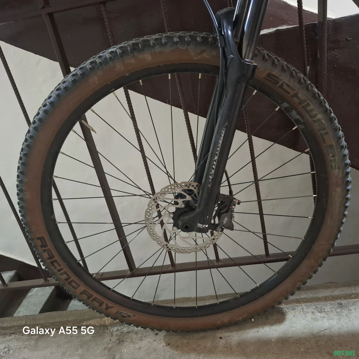 7. Orbea Alma M50 M 2023