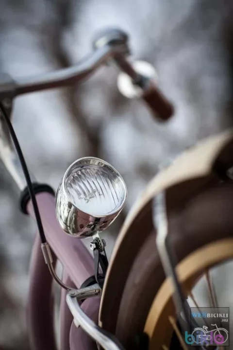 3. Custom made cruiser (nem Electra!)