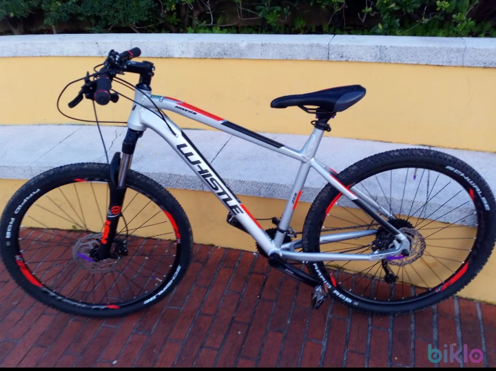 1. Whistle patwin MTB