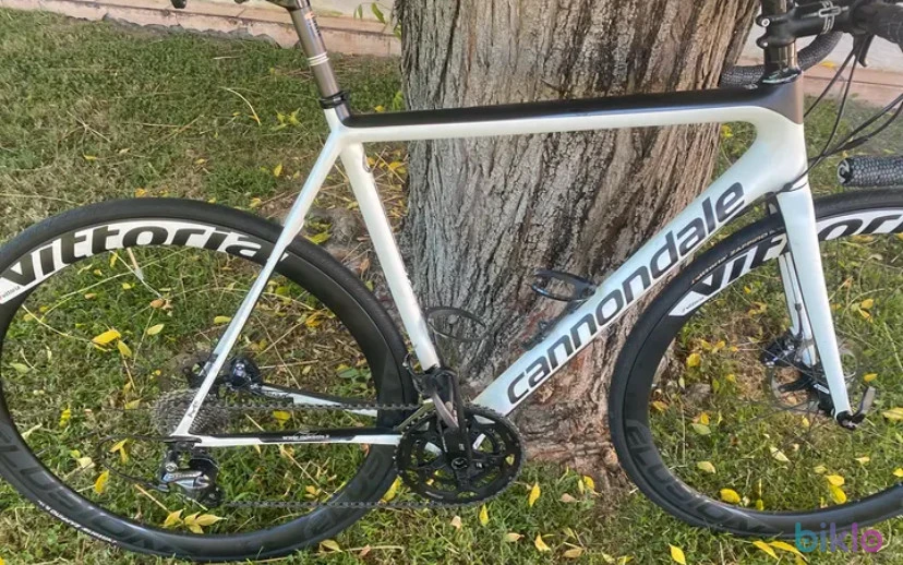 2. Bici da corsa