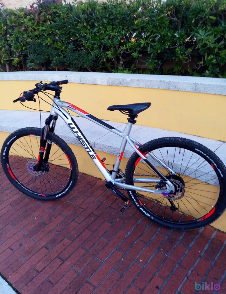 2. Whistle patwin MTB