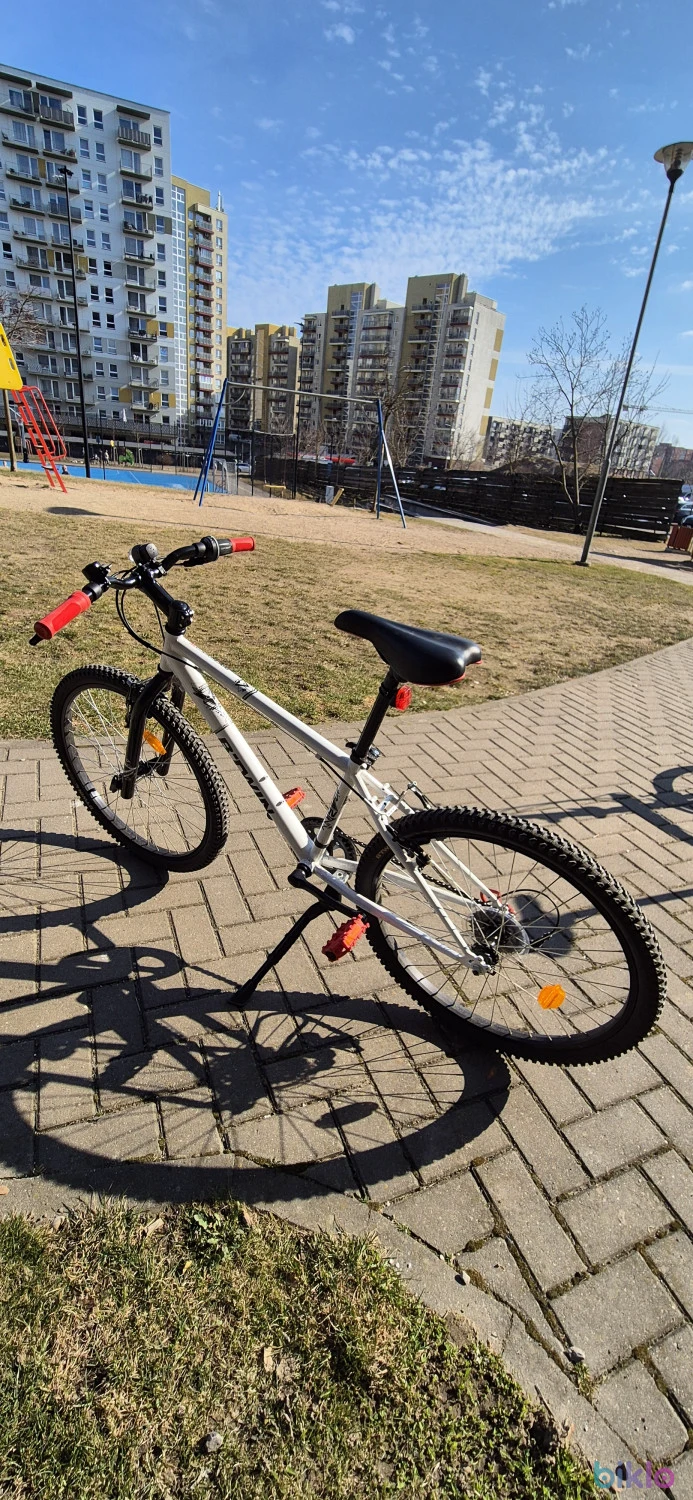 2. Vaikiškas dviratis (8-12m.) Rock Rider 300 24''
