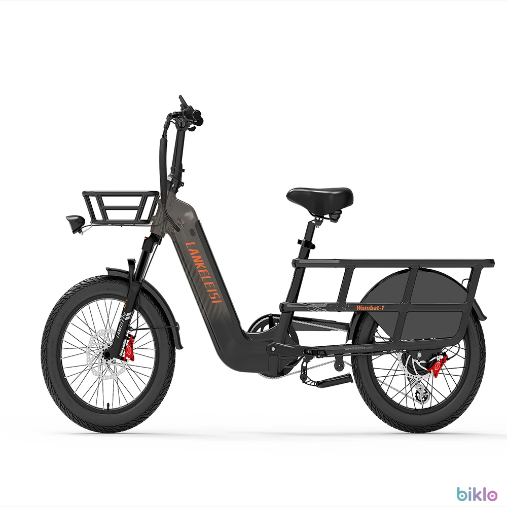 3. Lankeleisi Wombat-1 20inch Cargo Electric Bike With Torque Sensor 1000W 48V 20Ah Battery