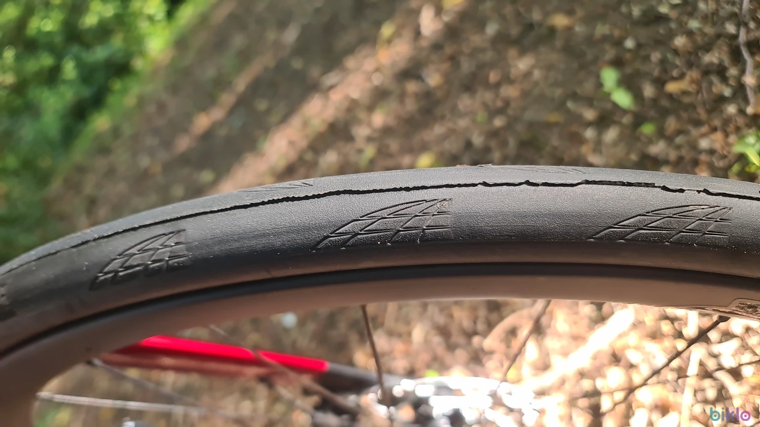 10. Trek Madone SL6 gen 8