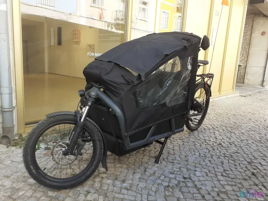 1. Riese & Muller Load 75 Vario - bicicleta de carga elétrica