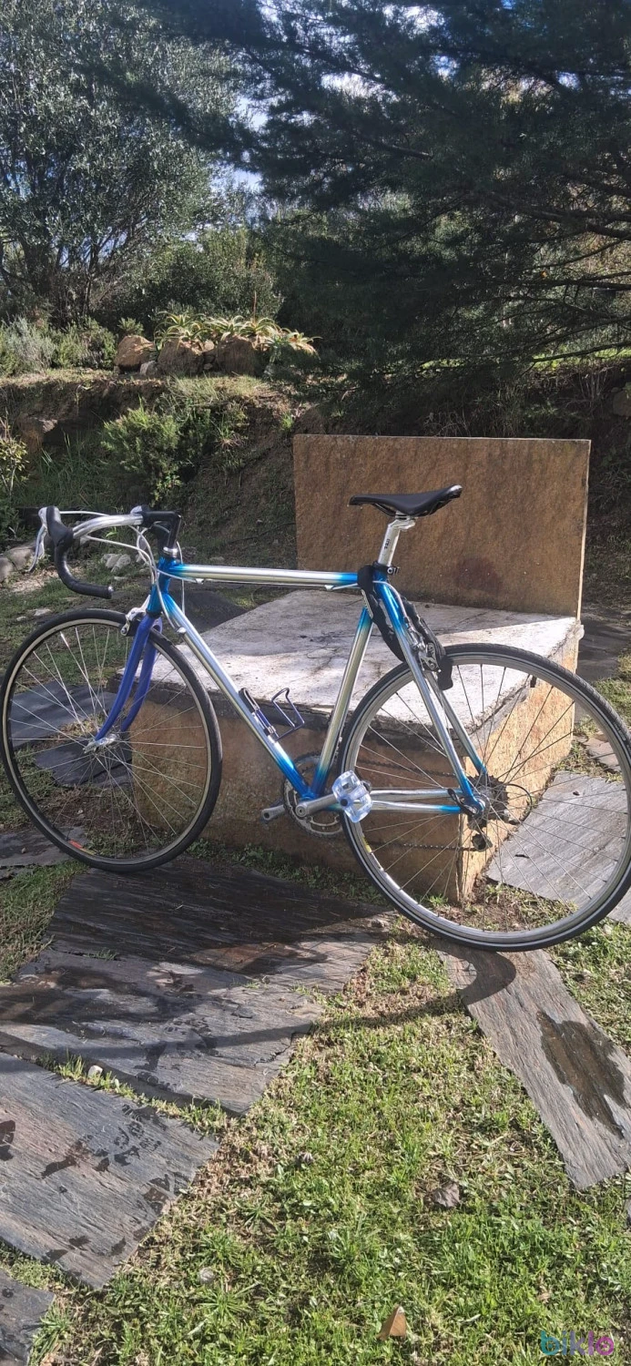 1. Bicicleta Muito Estimada
