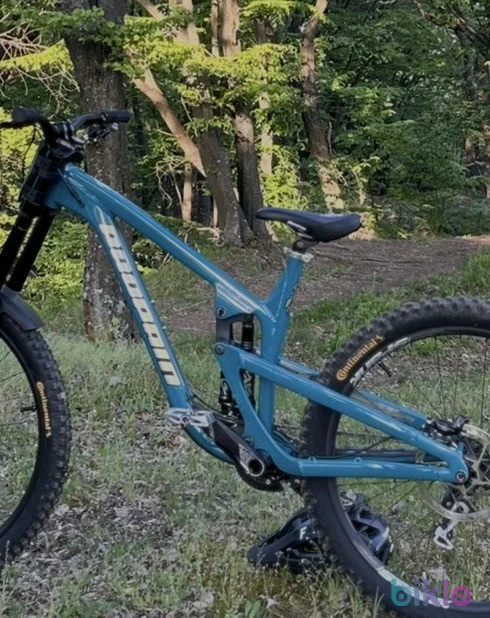 4. Vand CADRU bicicleta downhill Propain Spindrift AL 4/Park 2024 marime L, mullet (29/27.5)